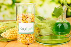Newquay biofuel availability